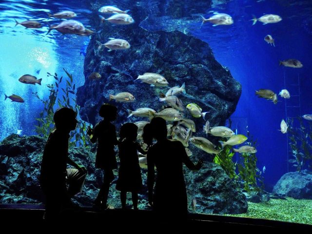 post_capetown_01 https://travel.newpostbg.com/wp-content/uploads/2018/08/post_capetown_01-640x480.jpg